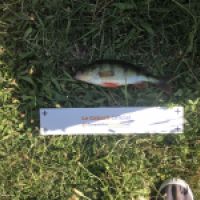 photo prise 4206 par Mattou vision FlyFishing
