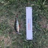 photo prise 4221 par Mattou vision FlyFishing