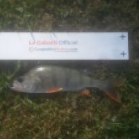 photo prise 4232 par Le pêcheur
