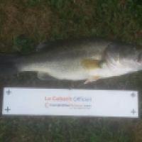 photo prise 4233 par Le pêcheur