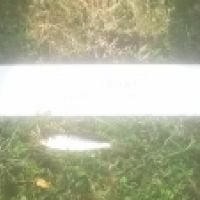photo prise 4237 par Le pêcheur