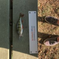 photo prise 4247 par Mattou vision FlyFishing