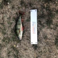 photo prise 4257 par Mattou vision FlyFishing