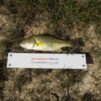 photo prise 4262 par Le pêcheur
