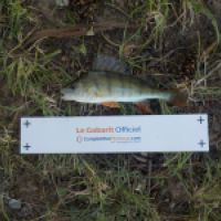 photo prise 4266 par Le pêcheur