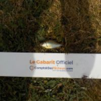 photo prise 4310 par Le pêcheur