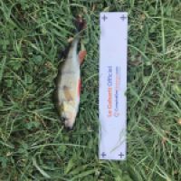 photo prise 4357 par Mattou vision FlyFishing