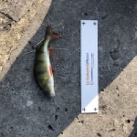 photo prise 4400 par Mattou vision FlyFishing