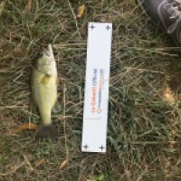 photo prise 4427 par Mattou vision FlyFishing