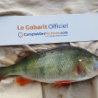 photo prise 4437 par Mr Perche 
