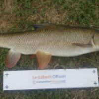 photo prise 4440 par Mr Perche 