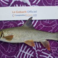 photo prise 4443 par Mr Perche 