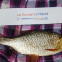 photo prise 4445 par Mr Perche 