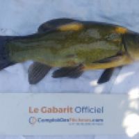 photo prise 4446 par Mr Perche 