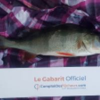 photo prise 4447 par Mr Perche 