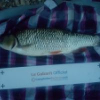 photo prise 4451 par Mr Perche 