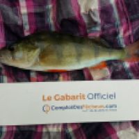 photo prise 4452 par Mr Perche 