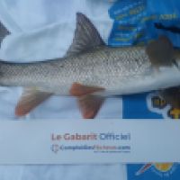 photo prise 4453 par Mr Perche 