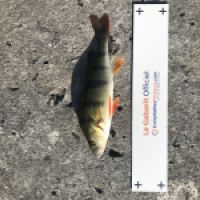 photo prise 4504 par Mattou vision FlyFishing