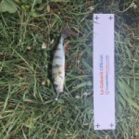 photo prise 4512 par Mattou vision FlyFishing