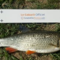 photo prise 4534 par Mr Perche 
