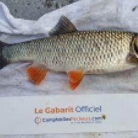 photo prise 4540 par Mr Perche 