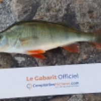 photo prise 4541 par Mr Perche 
