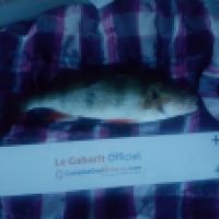 photo prise 4542 par Mr Perche 