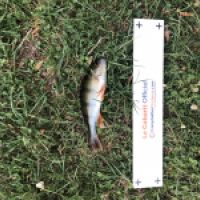 photo prise 4606 par Mattou vision FlyFishing