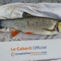 photo prise 4610 par Mr Perche 