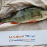 photo prise 4611 par Mr Perche 
