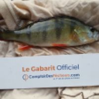 photo prise 4612 par Mr Perche 