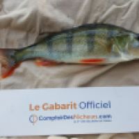 photo prise 4614 par Mr Perche 