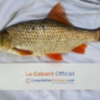 photo prise 4615 par Mr Perche 