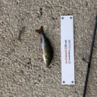 photo prise 4642 par Mattou vision FlyFishing