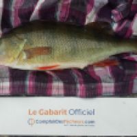 photo prise 4646 par Mr Perche 