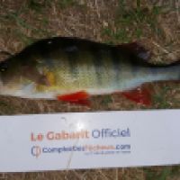 photo prise 4647 par Mr Perche 