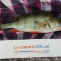 photo prise 4648 par Mr Perche 