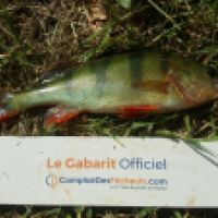 photo prise 4650 par Mr Perche 