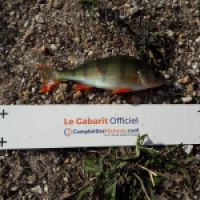photo prise 4652 par Mr Perche 