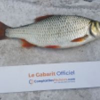 photo prise 4653 par Mr Perche 