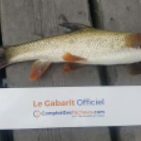 photo prise 4654 par Mr Perche 