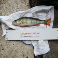 photo prise 4660 par Mr Perche 