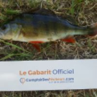 photo prise 4671 par Mr Perche 