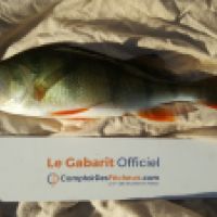 photo prise 4672 par Mr Perche 