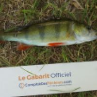 photo prise 4675 par Mr Perche 