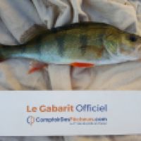 photo prise 4681 par Mr Perche 