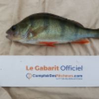 photo prise 4692 par Mr Perche 