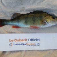 photo prise 4693 par Mr Perche 