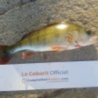 photo prise 4737 par Mr Perche 